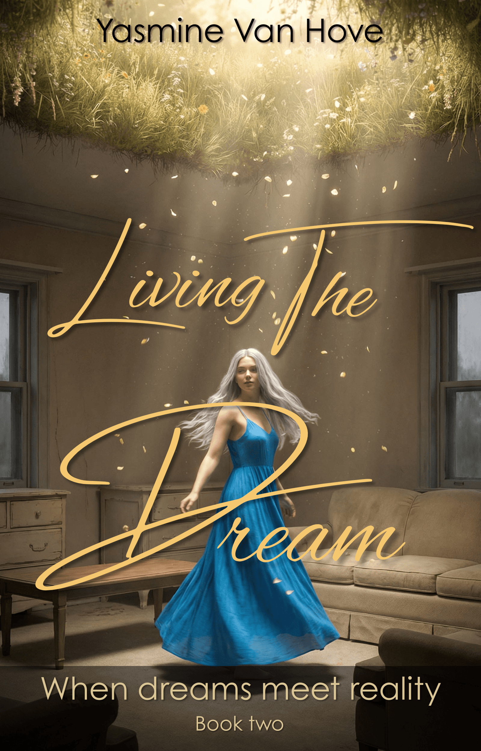 Living The Dream cover